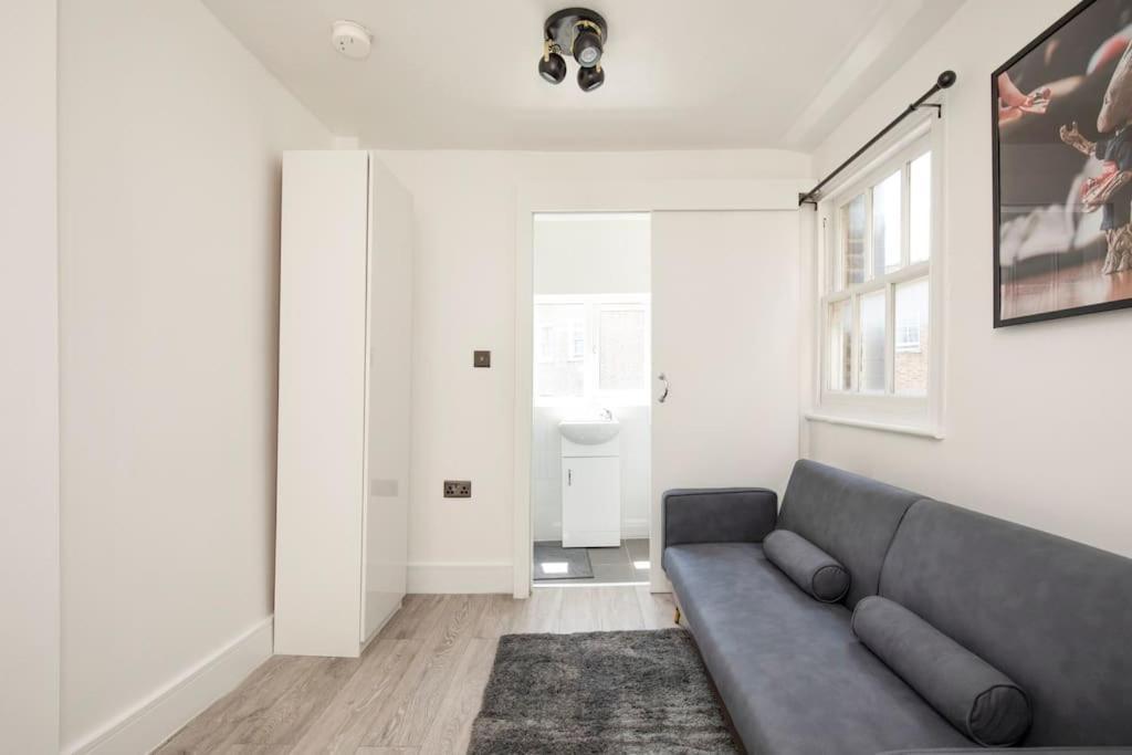 Spacious Serenity In The Heart Of Central Лондон Екстериор снимка